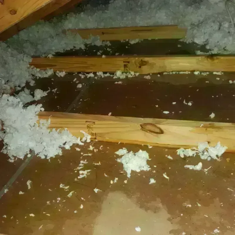 Attic Water Damage in Lamar County, TX