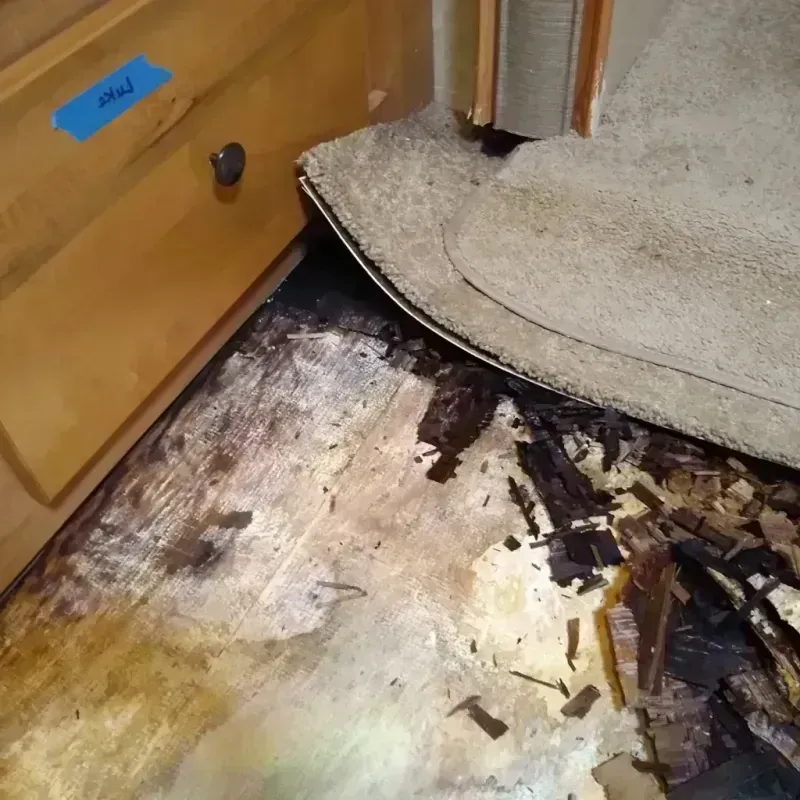 Wood Floor Water Damage in Lamar County, TX